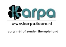 Karpa4care gespiegeld zandstraalfolie met bedrukking - extra folie - 117x82cm2